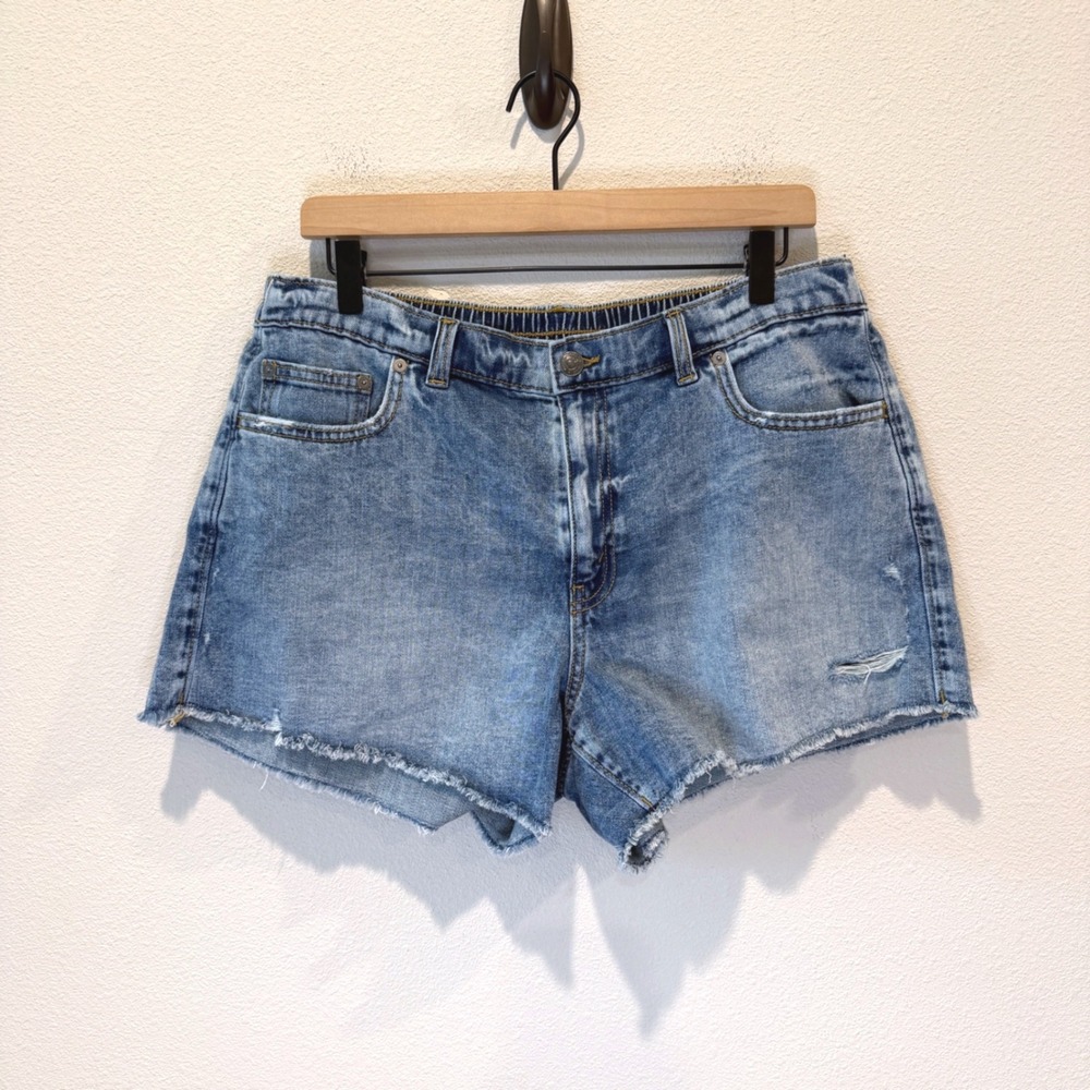 AERIE Womens Daydream Raw Hem Denim Shorts Size Large Boho Indie Casual